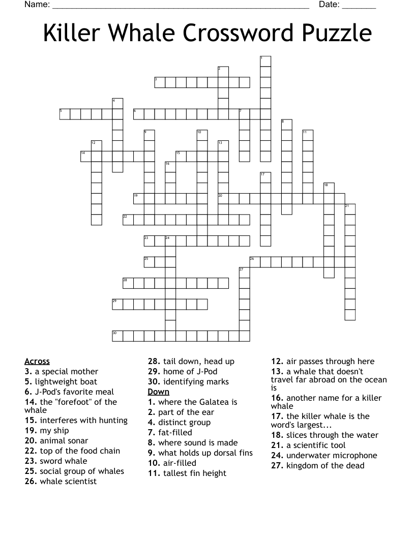 Killer Whale Crossword Puzzle