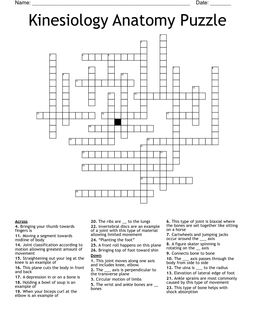 Kinesiology Anatomy Puzzle Crossword