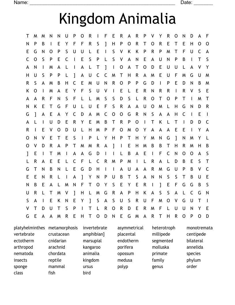 Kingdom Animalia Word Search