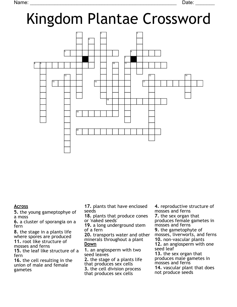 Kingdom Plantae Crossword