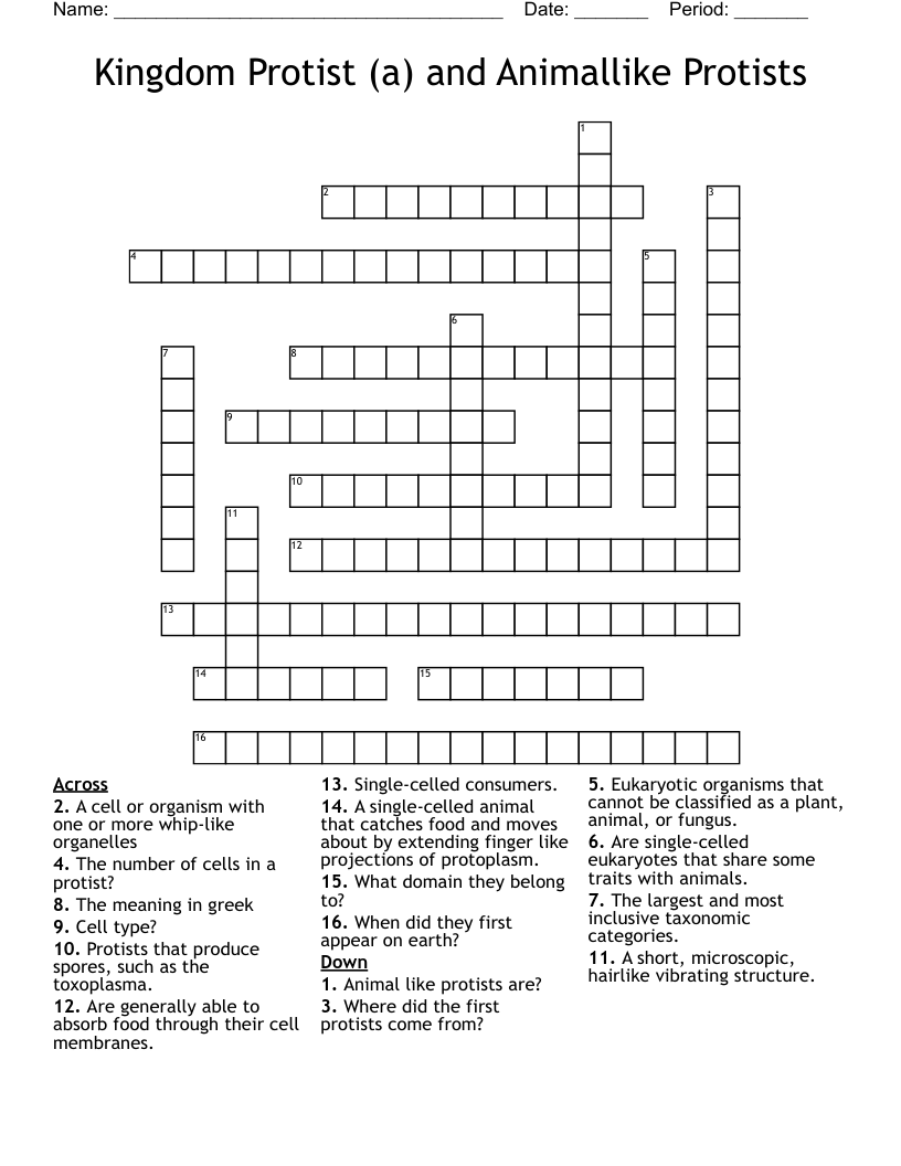 Kingdom Protist (a) and Animallike Protists Crossword