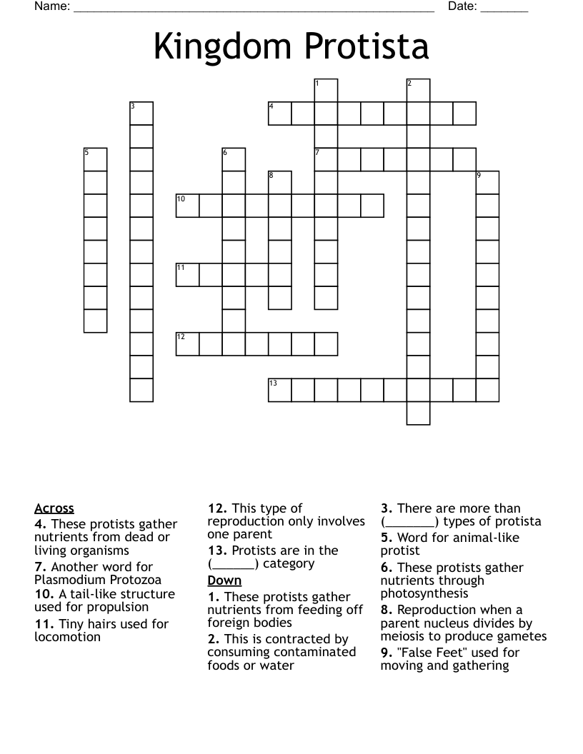 Kingdom Protista Crossword