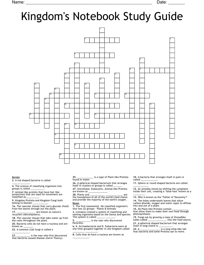 Kingdom's Notebook Study Guide Crossword