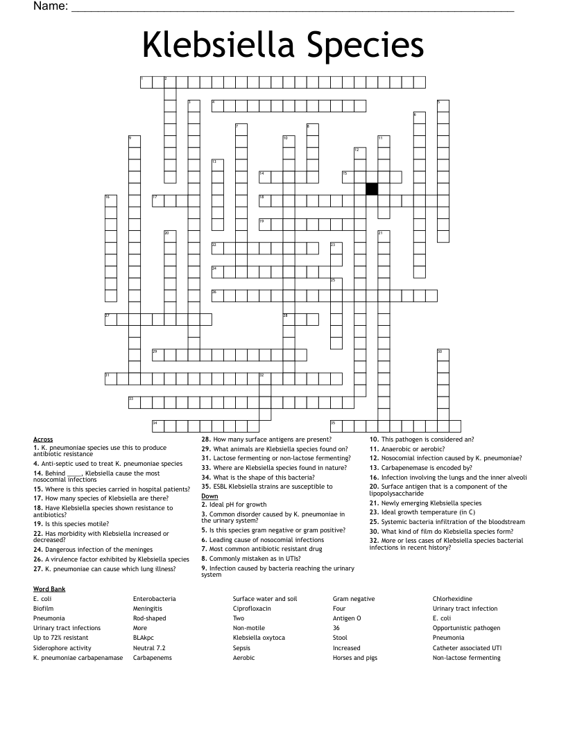 Klebsiella Species Crossword