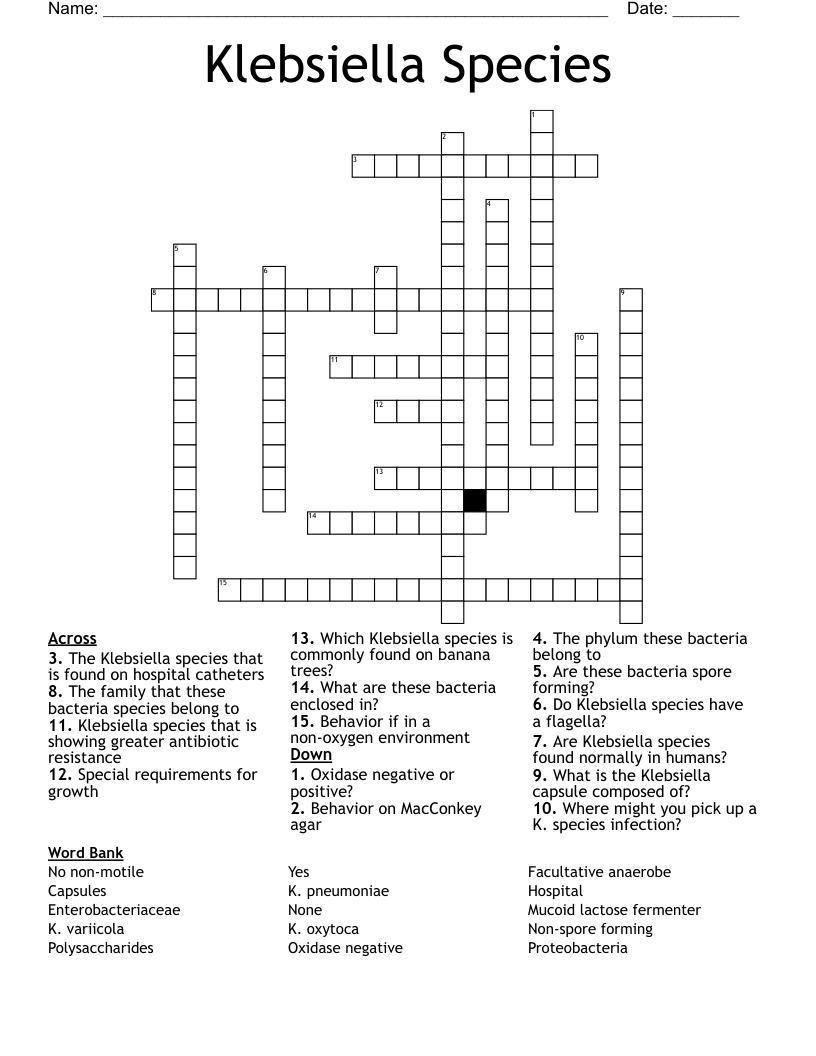 Klebsiella Species Crossword