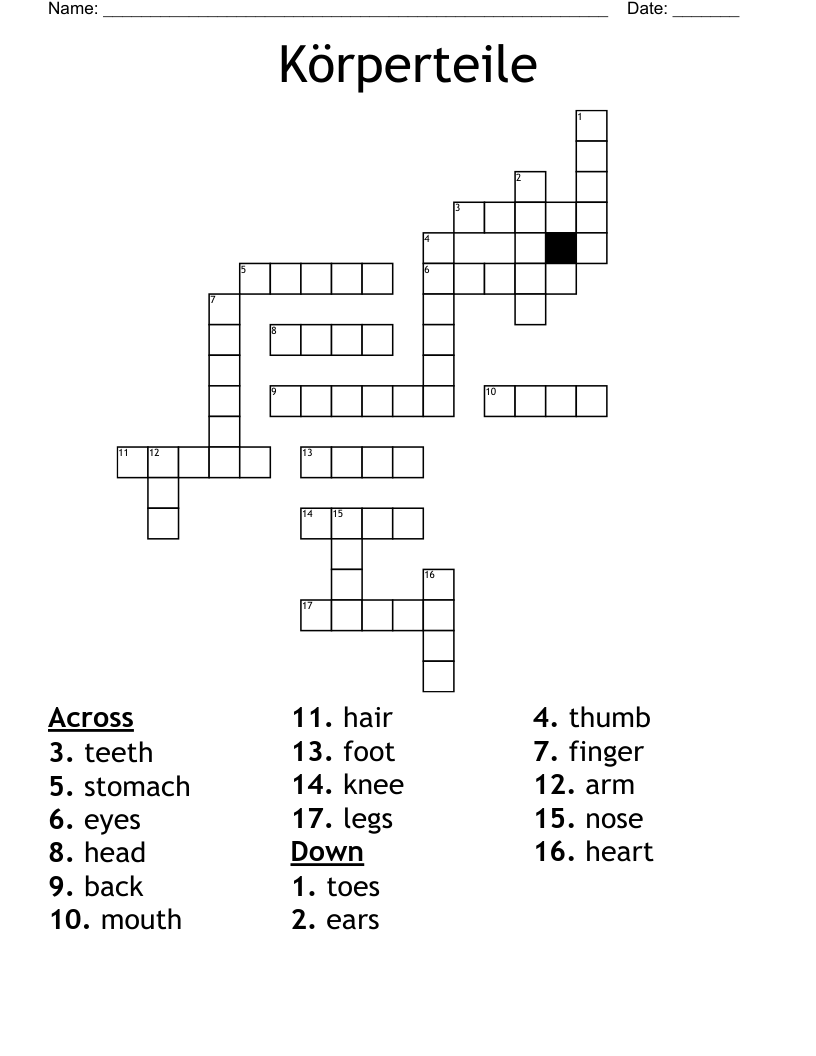 Körperteile Crossword