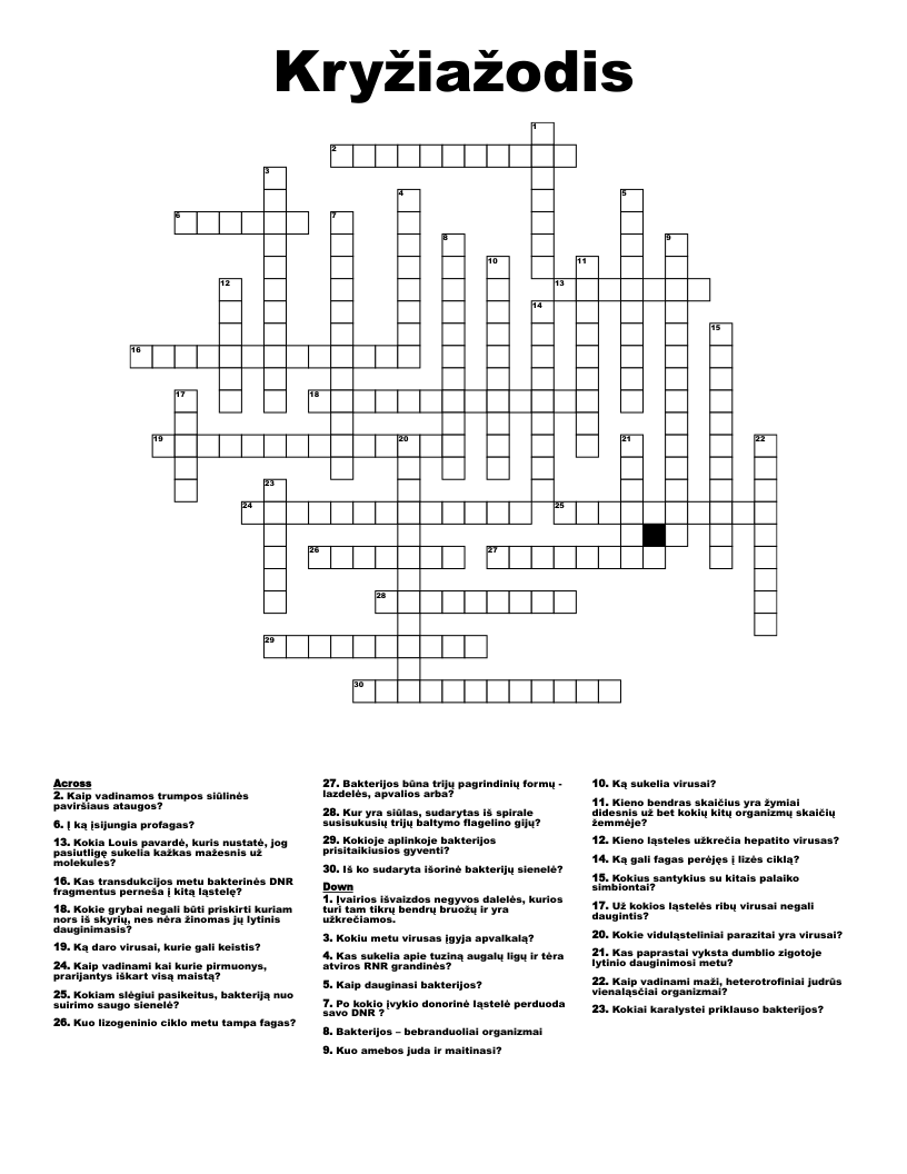 Kryžiažodis Crossword