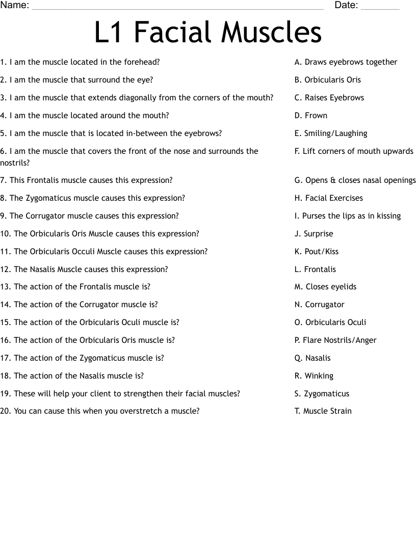 L1 Facial Muscles Worksheet