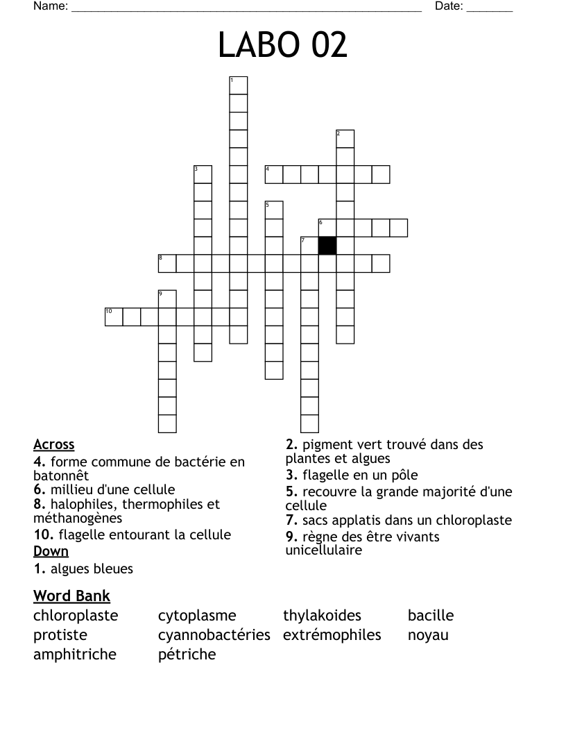LABO 02 Crossword