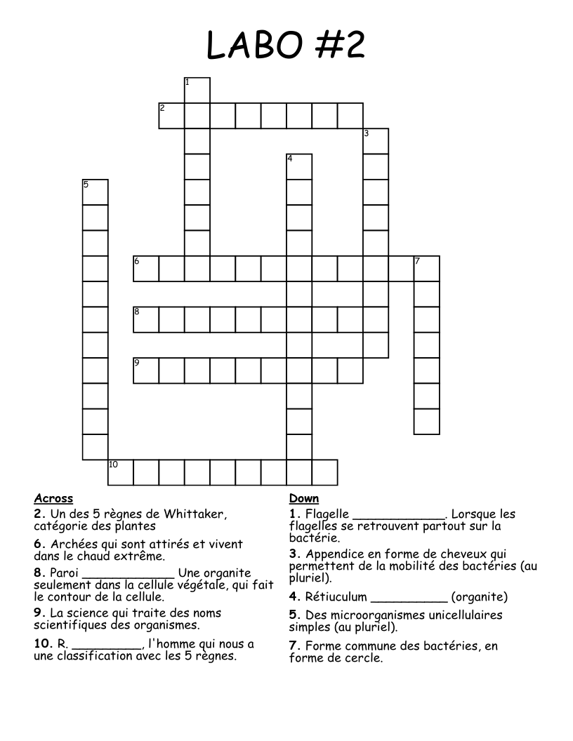 LABO #2 Crossword