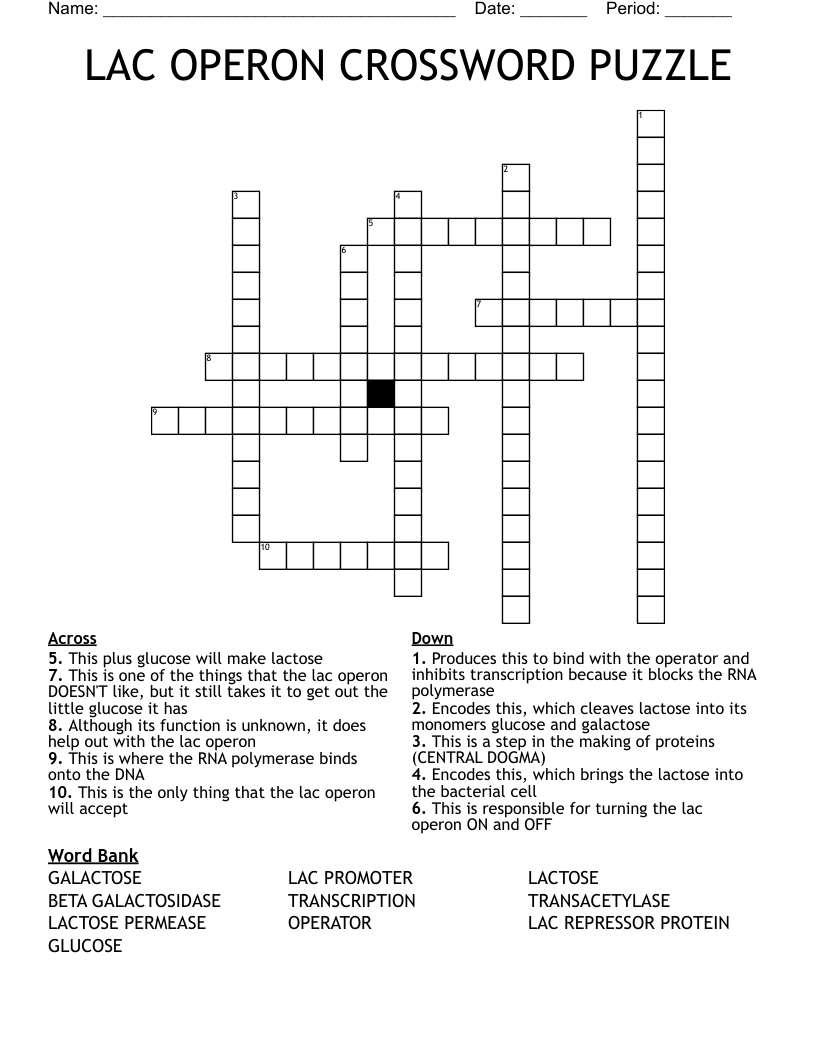 LAC OPERON CROSSWORD PUZZLE