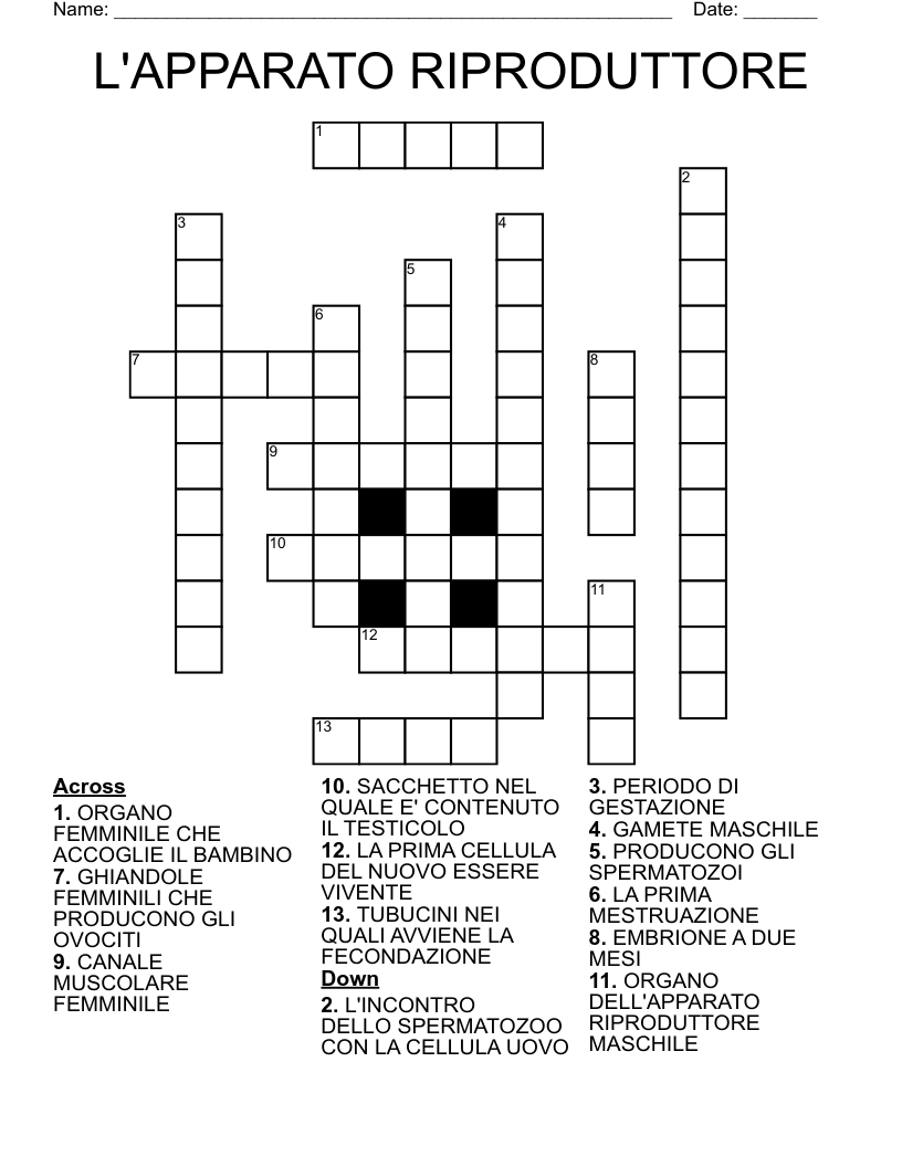 L'APPARATO RIPRODUTTORE Crossword