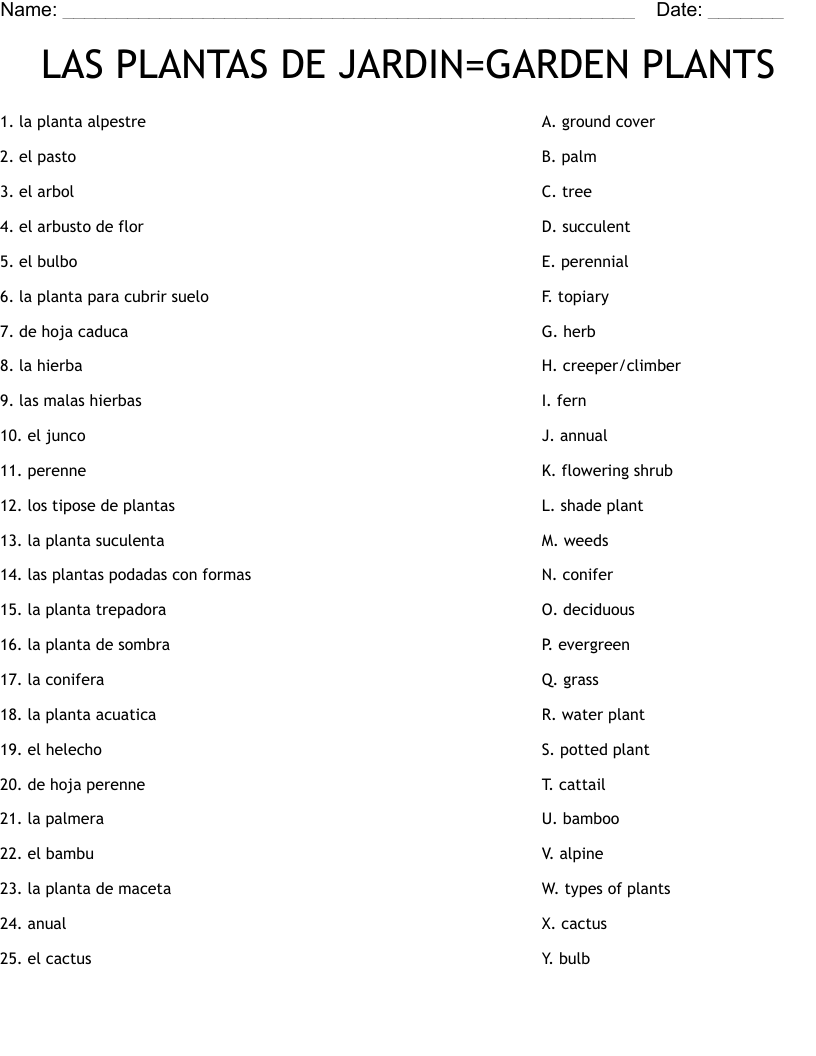 LAS PLANTAS DE JARDIN=GARDEN PLANTS Worksheet
