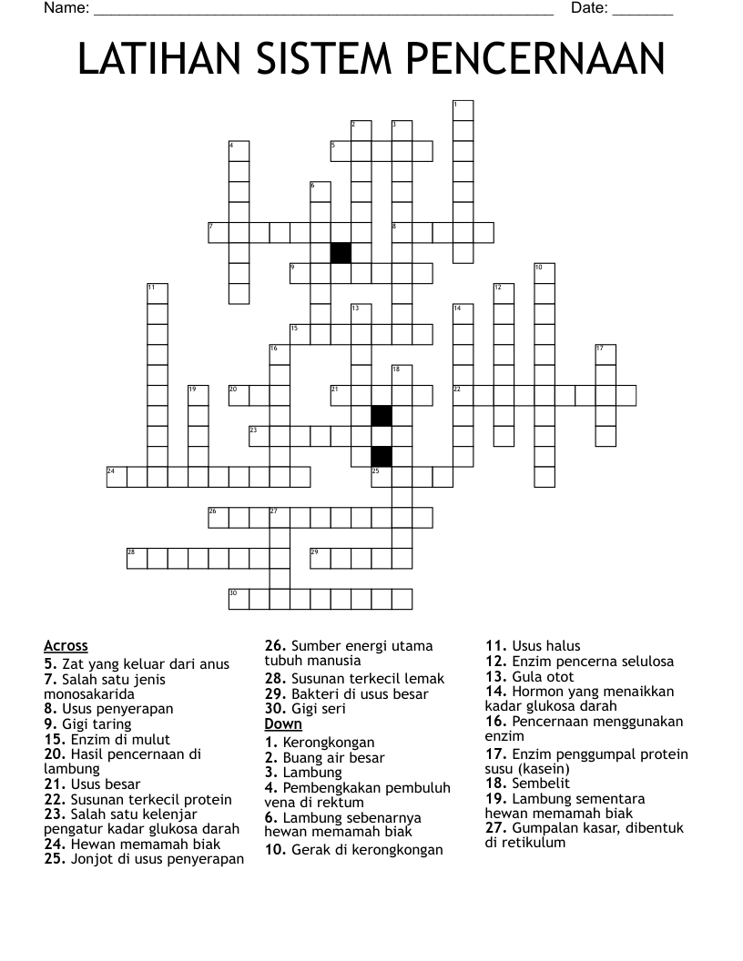 LATIHAN SISTEM PENCERNAAN Crossword