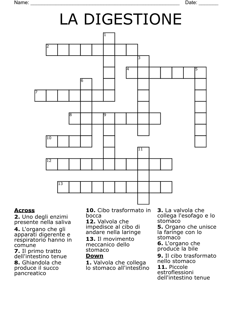 LA DIGESTIONE Crossword
