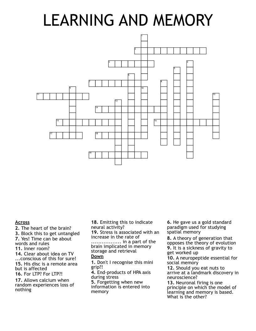 LEARNING AND MEMORY Crossword