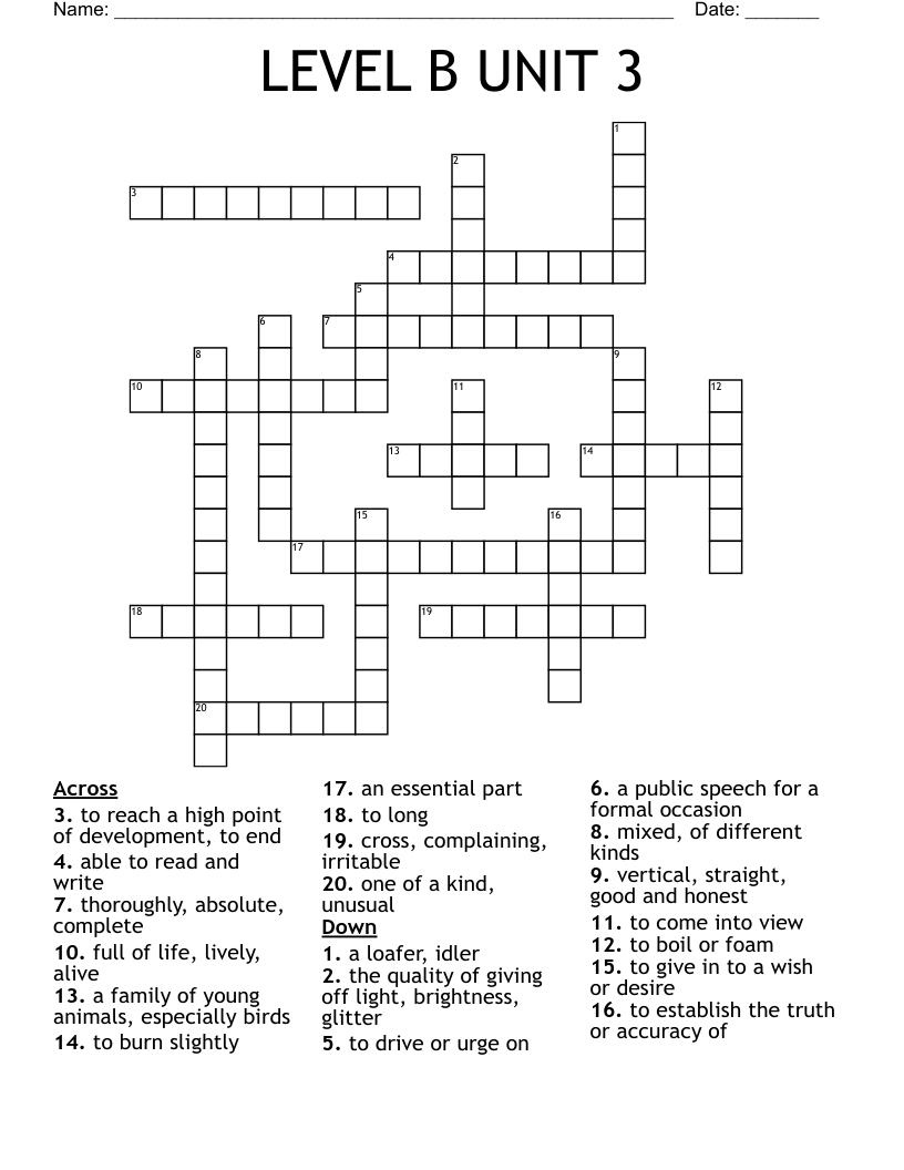 LEVEL B  UNIT 3 Crossword