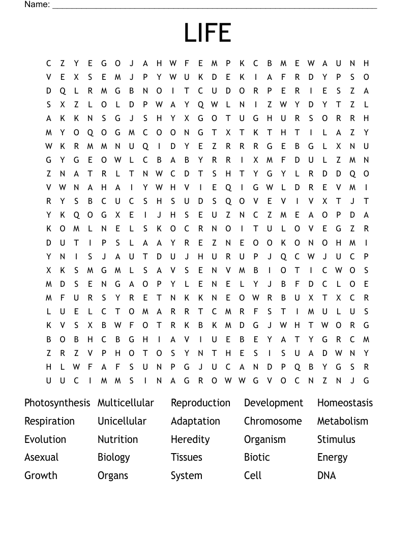 LIFE Word Search