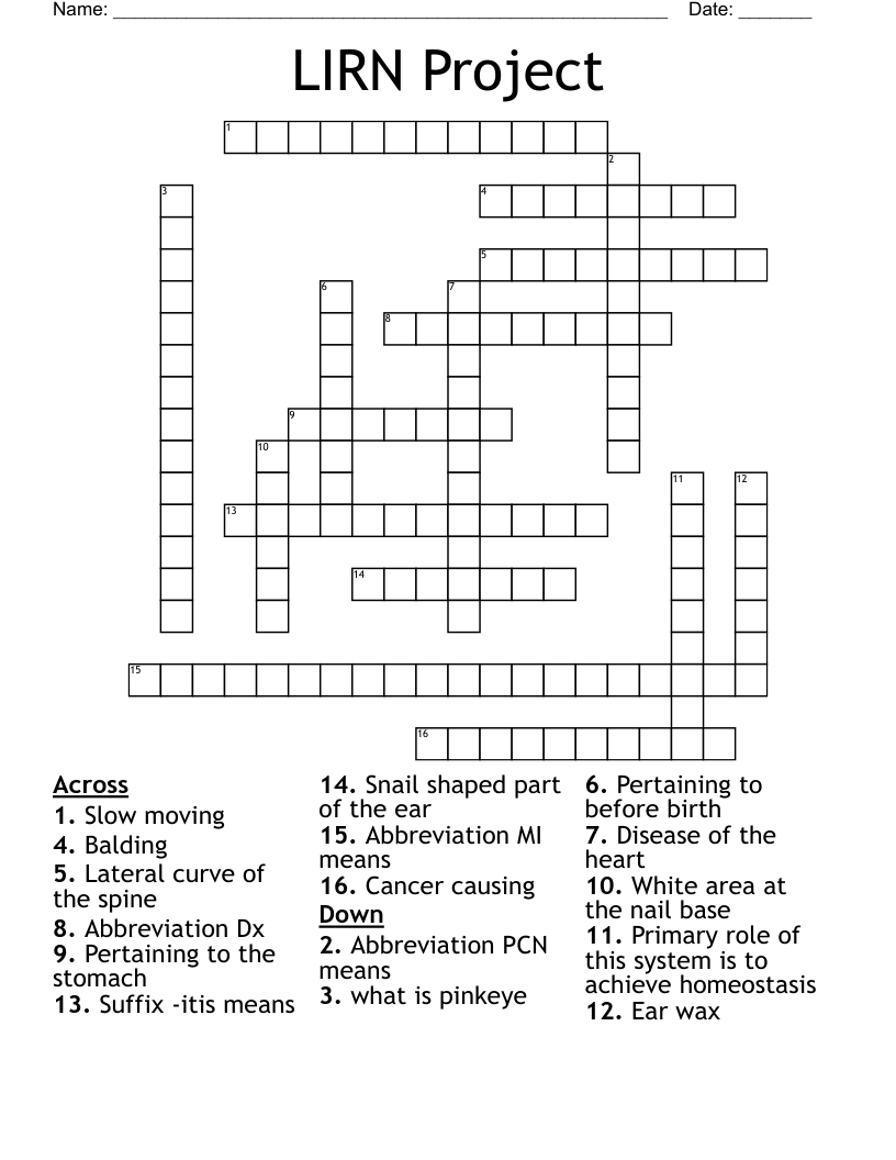 LIRN Project Crossword