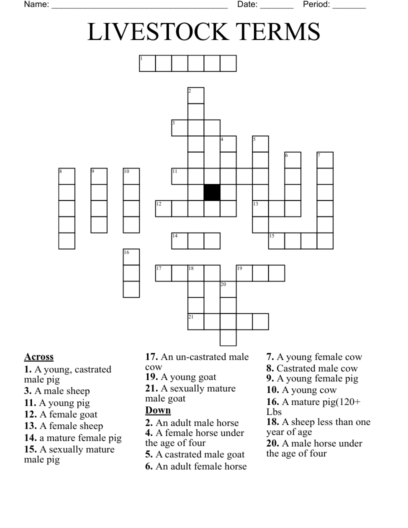 LIVESTOCK TERMS Crossword