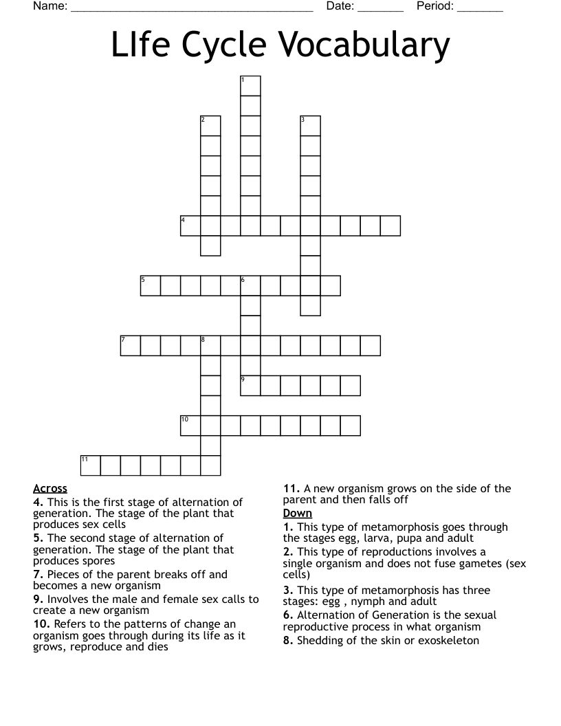 LIfe Cycle Vocabulary Crossword