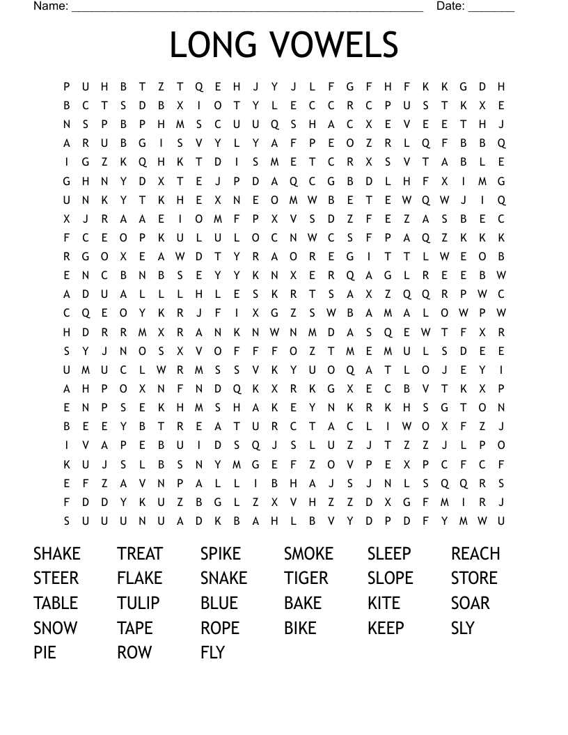LONG VOWELS Word Search