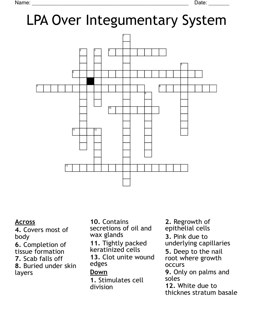LPA Over Integumentary System Crossword