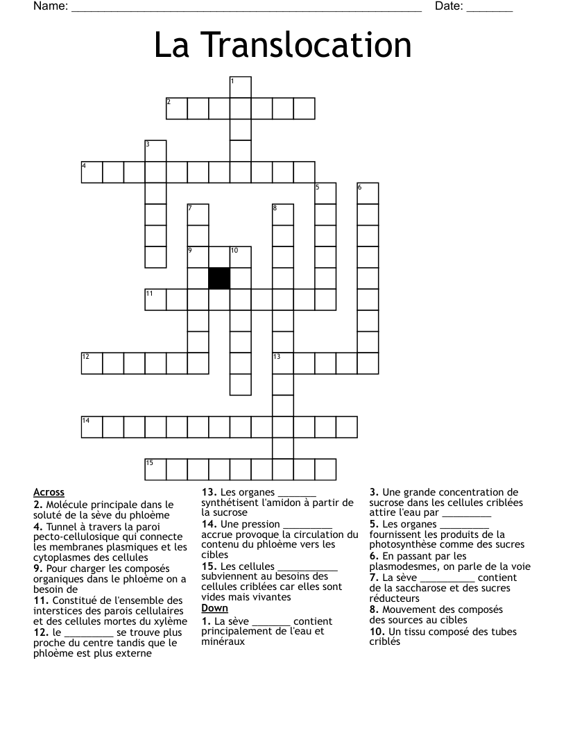 La Translocation Crossword