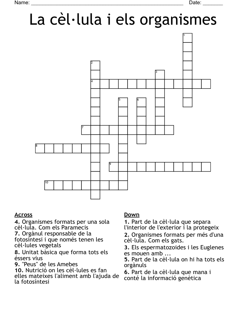 La cèl·lula i els organismes Crossword