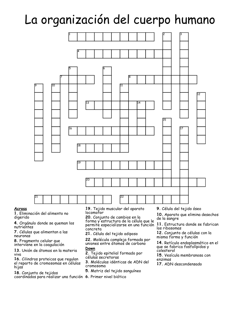 La organización del cuerpo humano Crossword