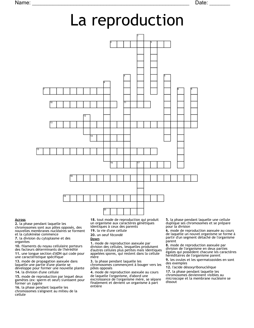 La reproduction Crossword