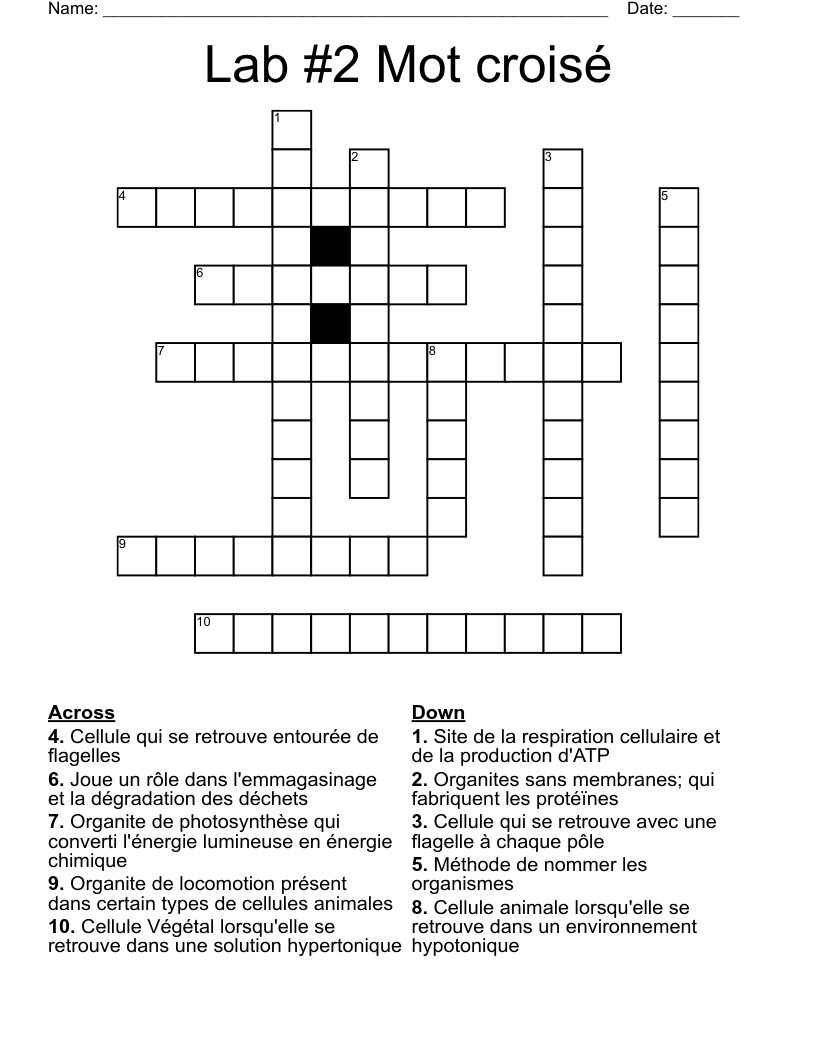 Lab #2 Mot croisé Crossword