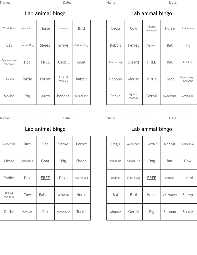 Lab animal bingo 