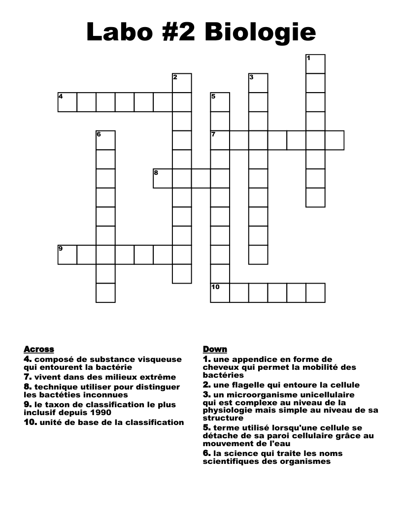 Labo #2 Biologie  Crossword
