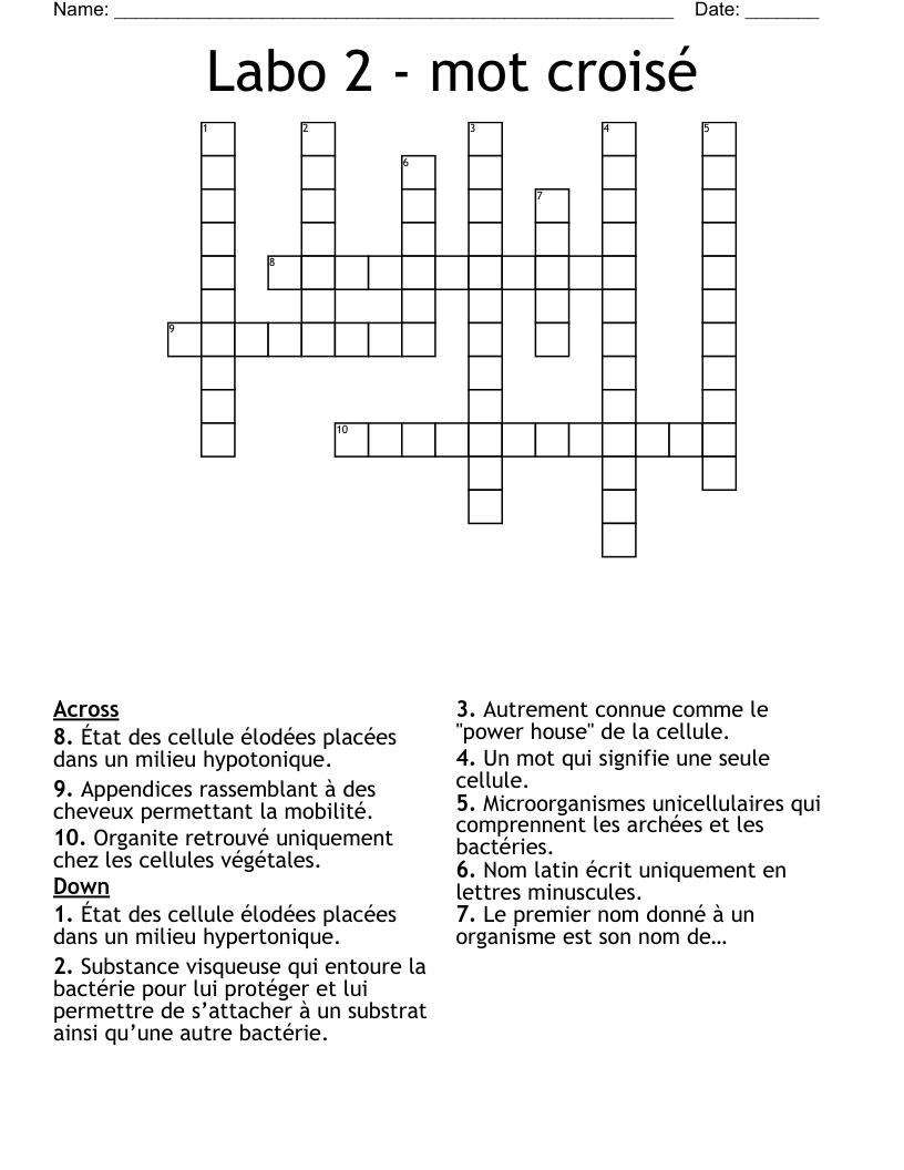 Labo 2 - mot croisé Crossword