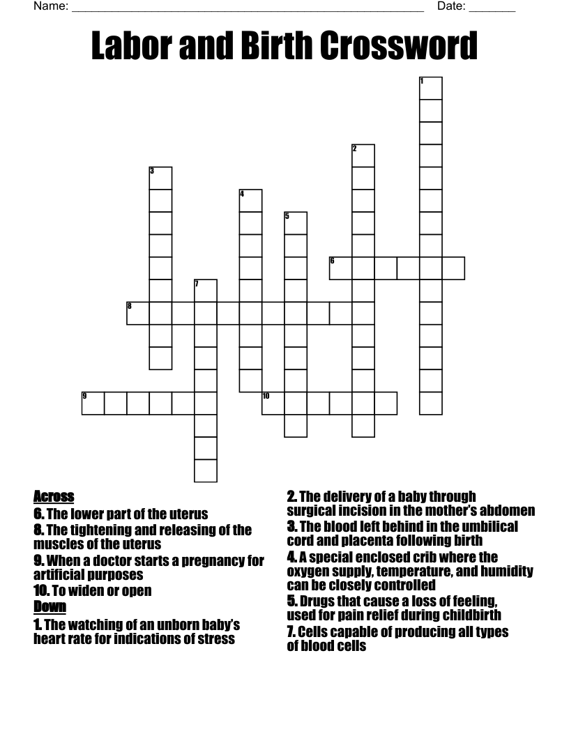 Labor and Birth Crossword