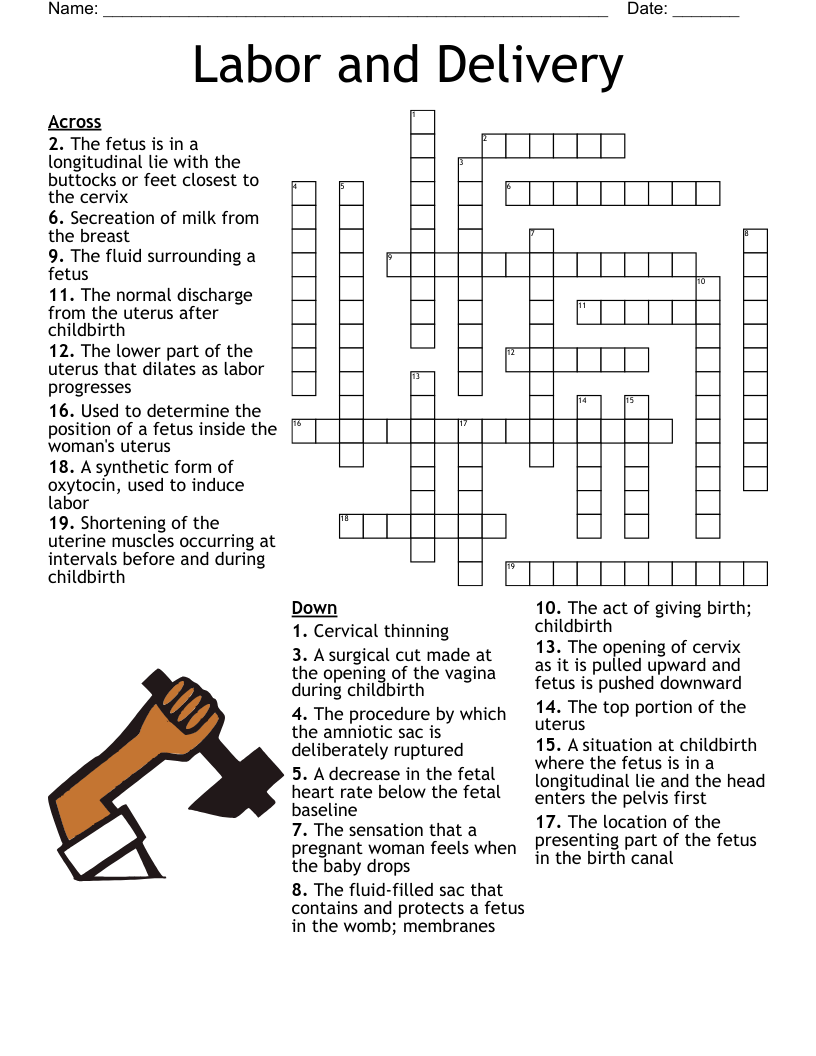 Labor and Delivery Crossword