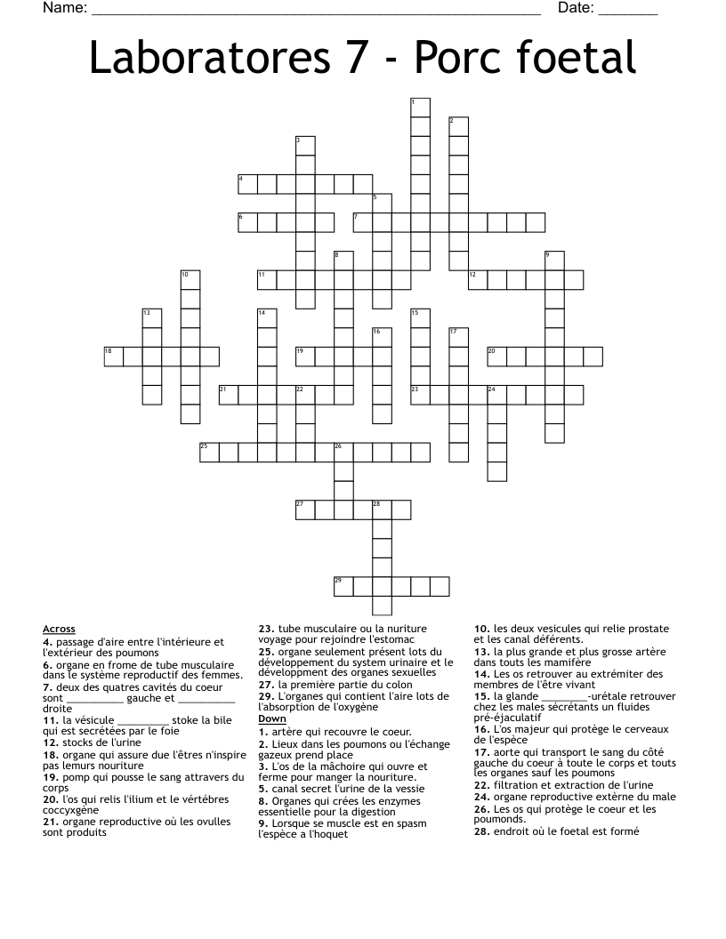 Laboratores 7 - Porc foetal Crossword