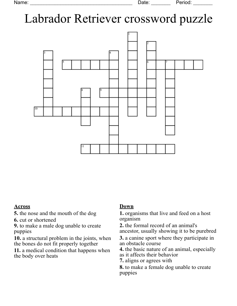 Labrador Retriever crossword puzzle