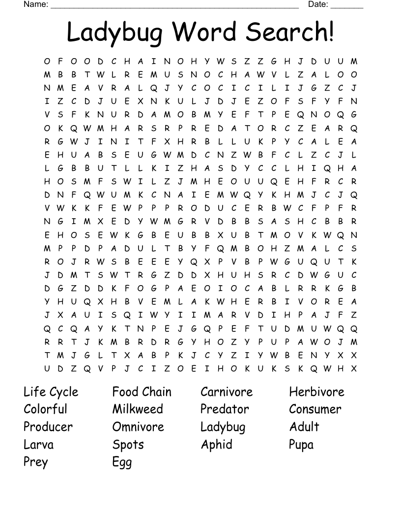 Ladybug Word Search!