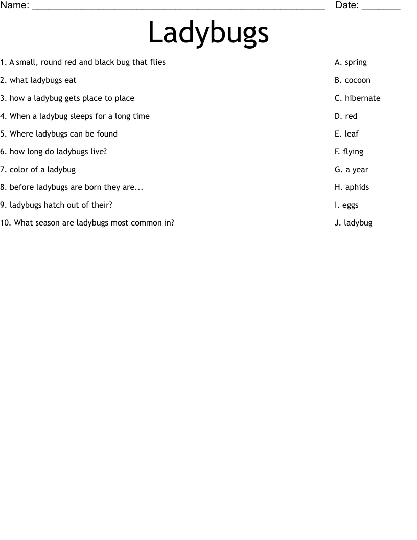 Ladybugs Worksheet