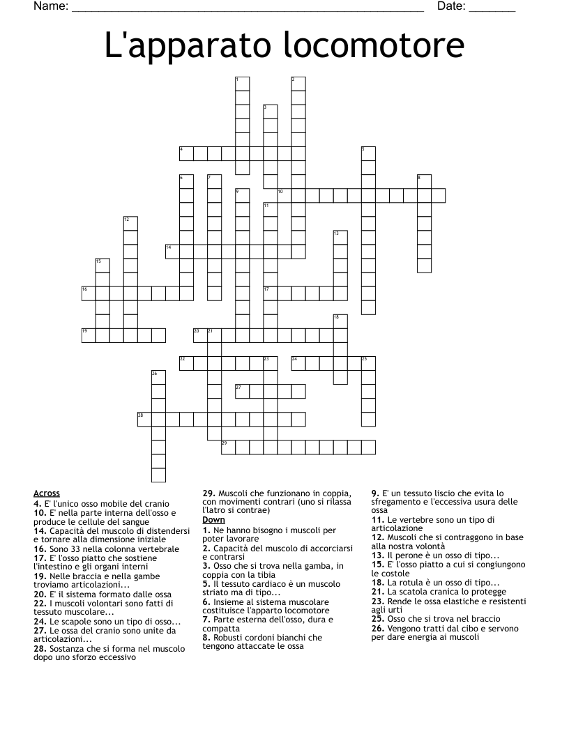 L'apparato locomotore Crossword