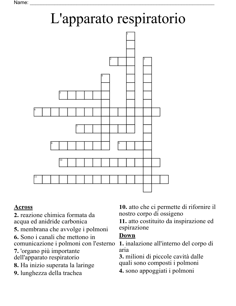 L'apparato respiratorio Crossword