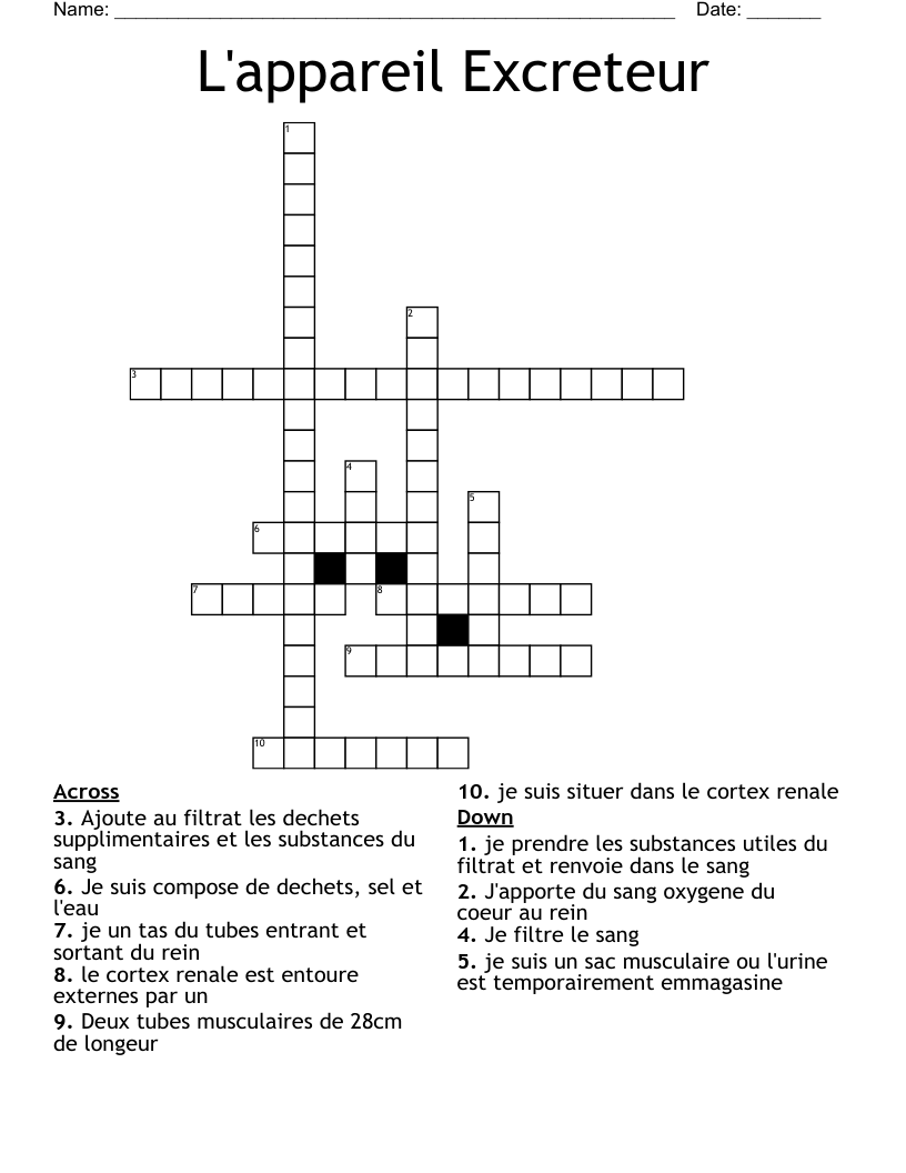 L'appareil Excreteur Crossword