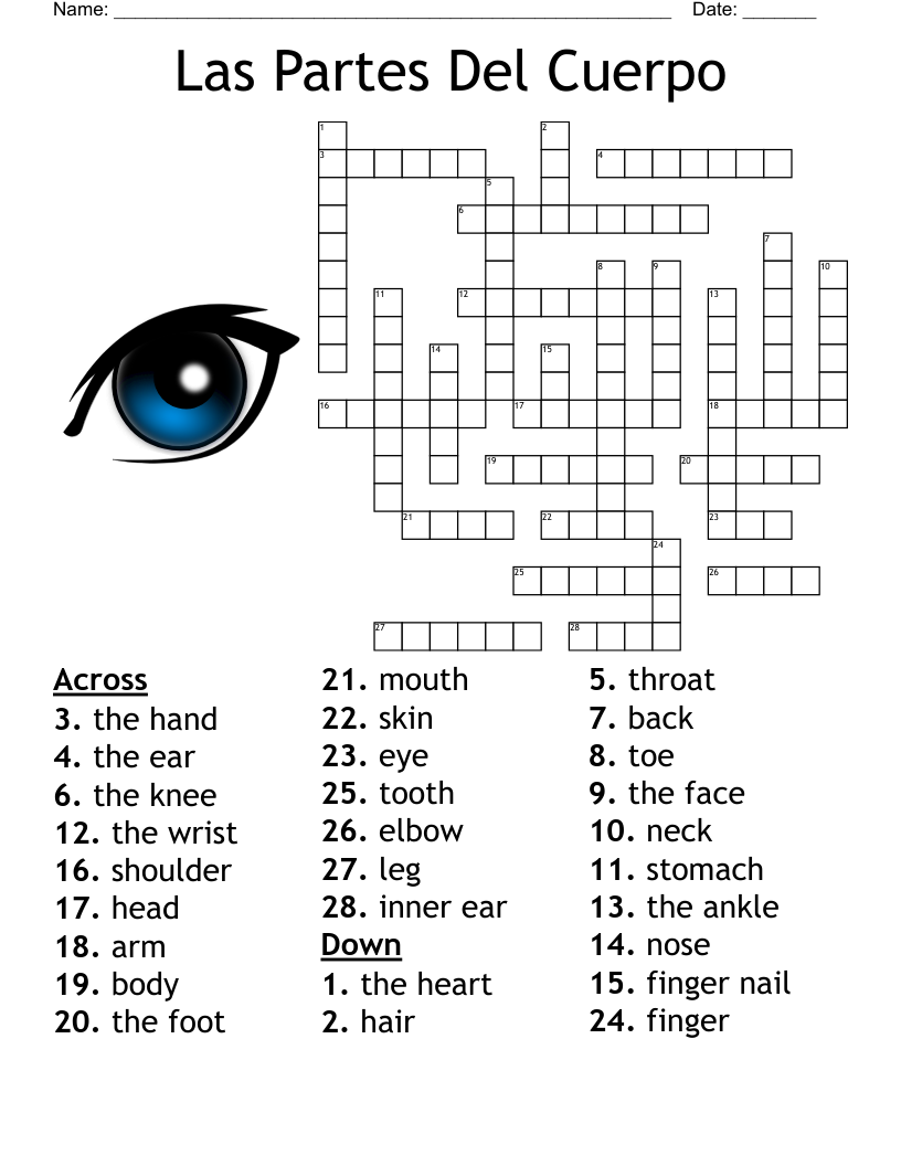 Las Partes Del Cuerpo Crossword