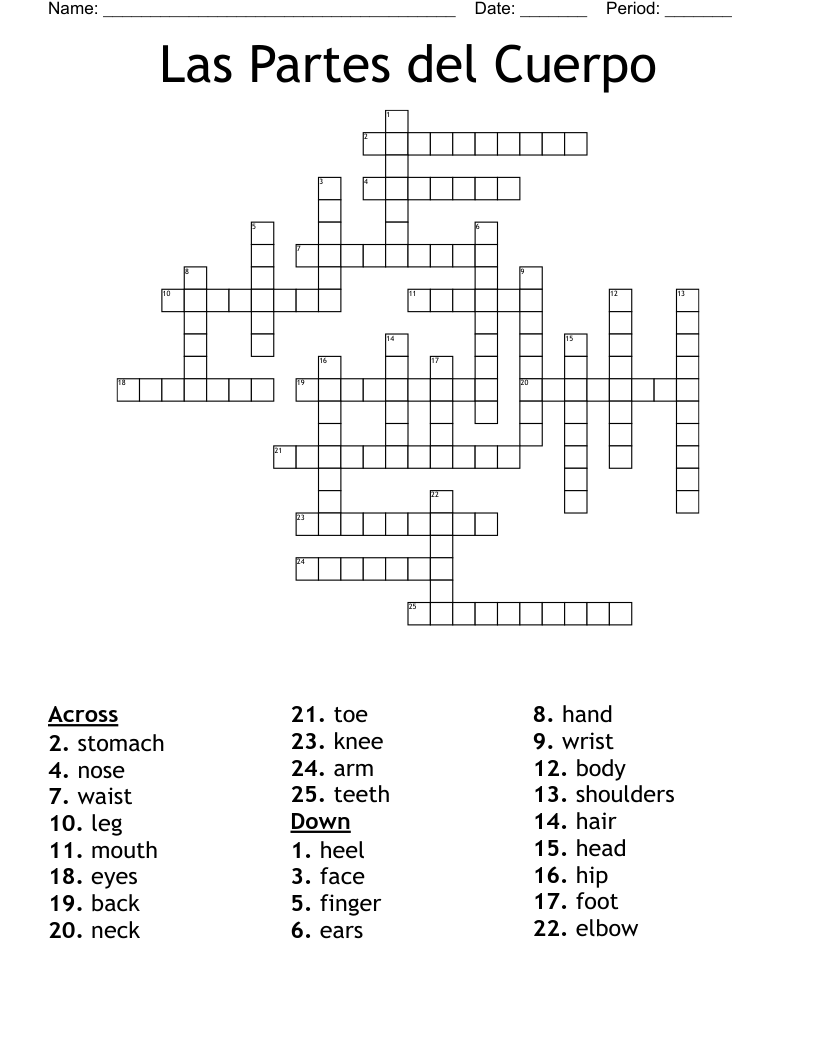 Las Partes del Cuerpo Crossword