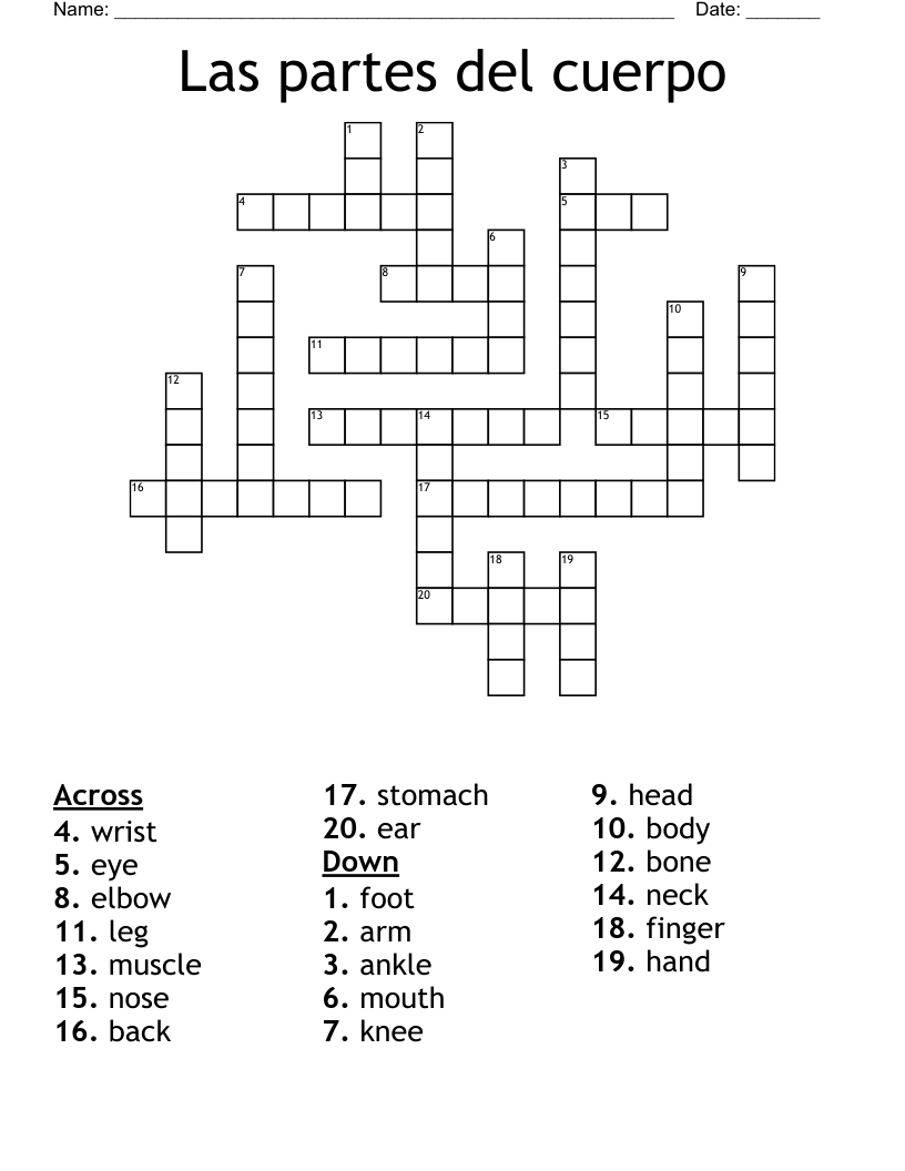 *Las partes del cuerpo CROSSWORD PUZZLE*