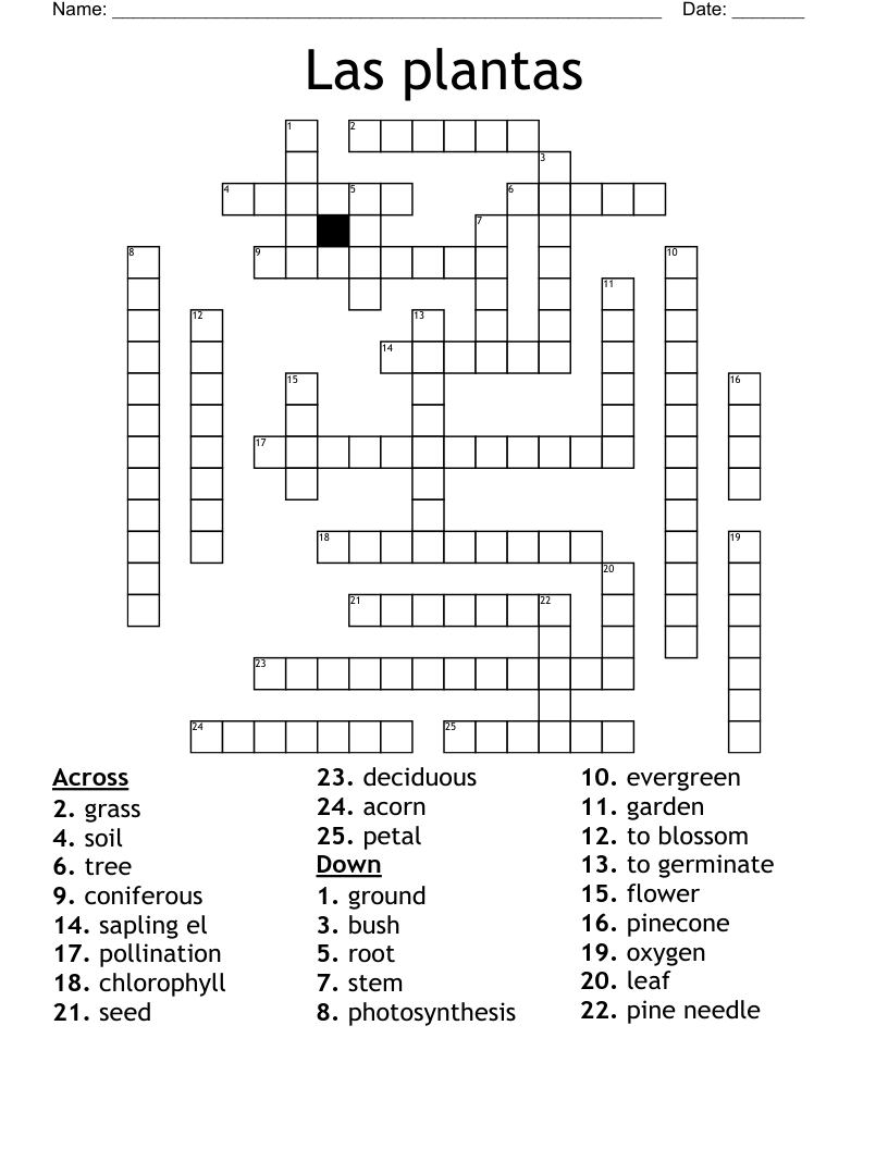 Las plantas Crossword