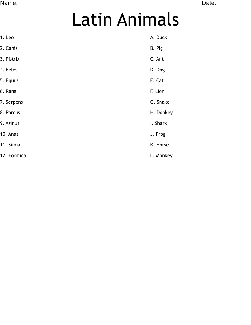 Latin Animals Worksheet