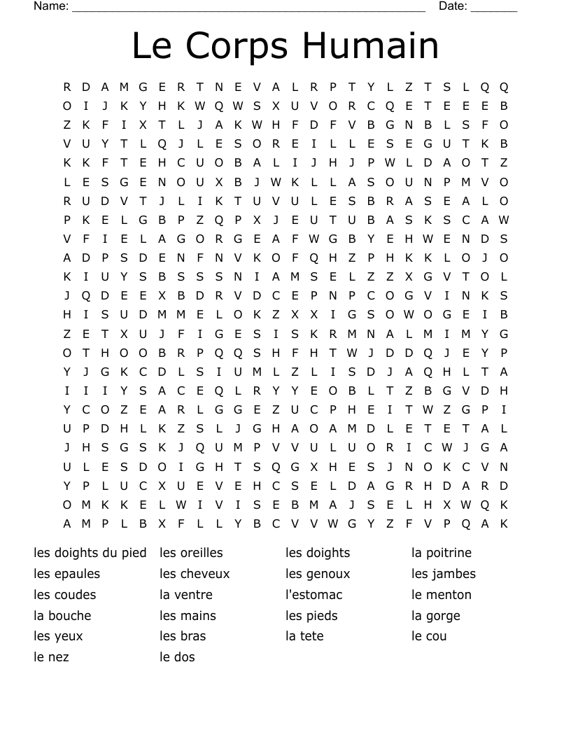 Le Corps Humain Word Search